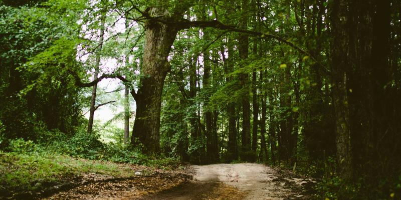 NBA 2K MT Coins与VC点数终极指南：用途、获取方式与区块链技术未来