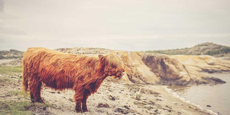 NBA 2K MT Coins价格波动全解析：NFT与加密市场如何影响虚拟货币价值