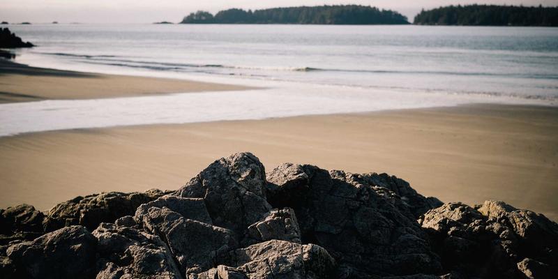 NBAMTCoins100: 区块链与篮球交汇的新时代投资机遇