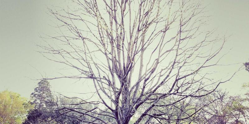 NBAMTCoins21:区块链、DeFi与数字资产如何重塑体育经济新范式