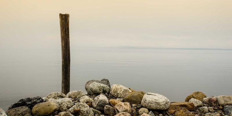 NBA MT Coins 30:区块链如何重塑体育收藏与粉丝经济新范式