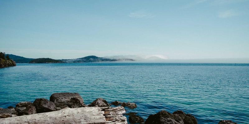 NBA MT Coins 49：区块链技术如何重塑体育数字资产与粉丝经济