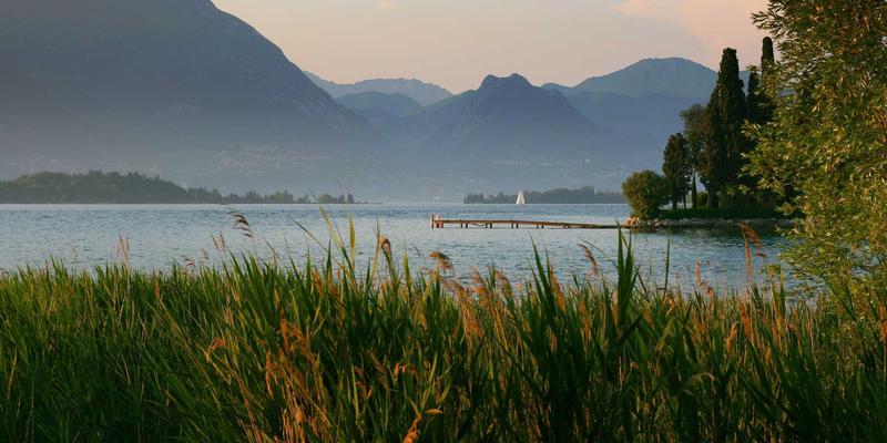 NBAMTCoins53：连接体育、收藏与以太坊生态的加密新浪潮