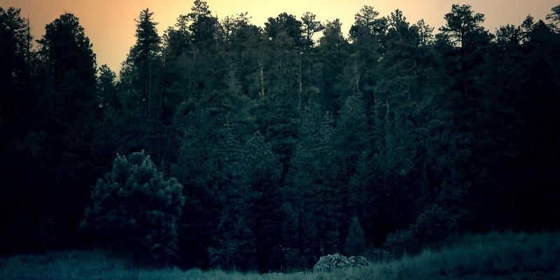 NBAMTCoins68: Revolutionizing Sports Fandom with Blockchain and Cryptocurrency