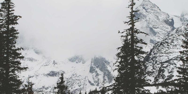 NBA MT Coins 73：当体育收藏遇见区块链、比特币与DeFi新浪潮