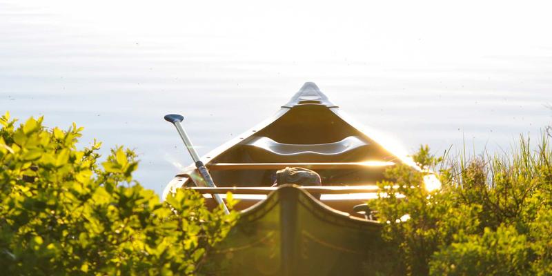 NBAMTCoins77:当DeFi遇见比特币,探索新兴数字资产的融合潜力