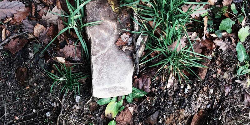 NBAMTCoins86：连接体育、收藏与区块链的加密新星