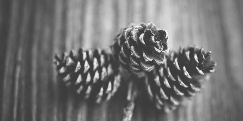 NBAMTCoins：当区块链技术遇见篮球收藏革命