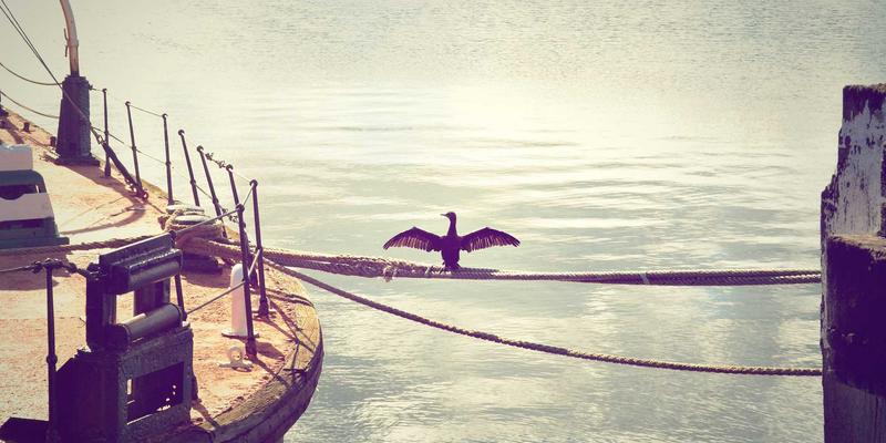 NBAMTCoins深度解析：连接体育、以太坊与DeFi的创新数字资产