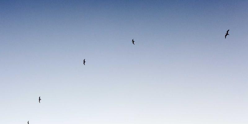 NBA MT Coins租赁市场的智能合约法律框架:DeFi与体育资产的合规化探索