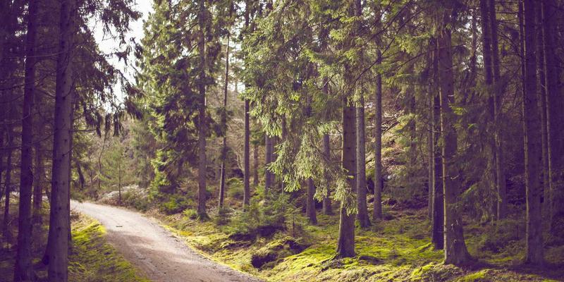 从Bitcoin到Ethereum：区块链技术如何重塑NBA 2K MT Coins的跨平台交易市场与经济效率