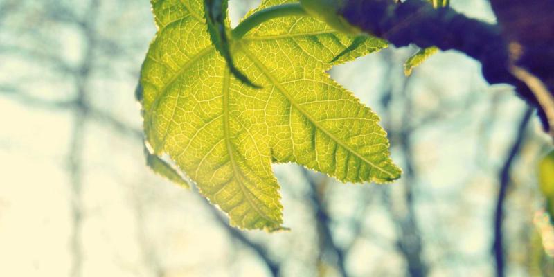 从NBA 2K MT Coins到通用数字资产：区块链与NFT如何重塑游戏经济互通