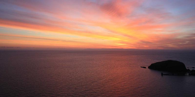 当游戏服务器关闭：MT Coins与NFTs如何实现跨代际价值传承？