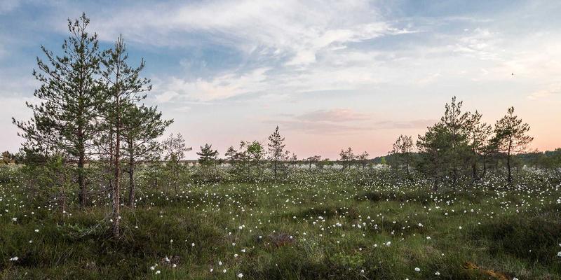 智能合约如何重塑游戏资产交易：以NBA 2K MT Coins与NFTs、Bitcoin的融合为例